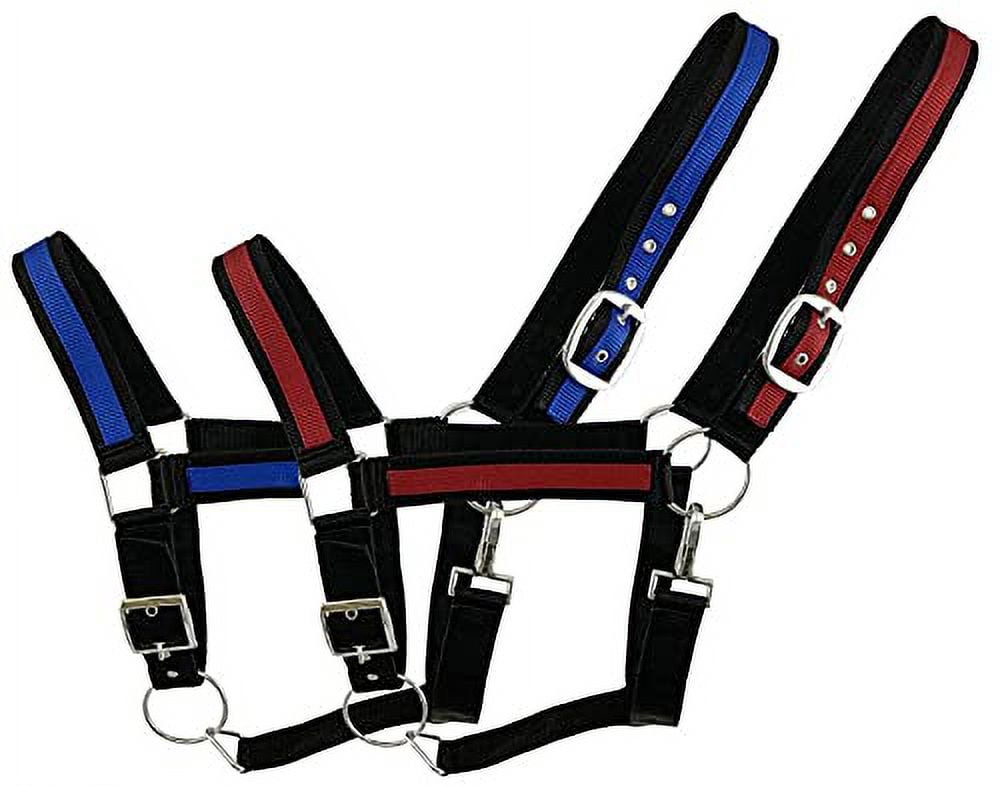 Black Draft Horse Size Nylon Halter w/ Blue or Red Accent Color (Blue ...