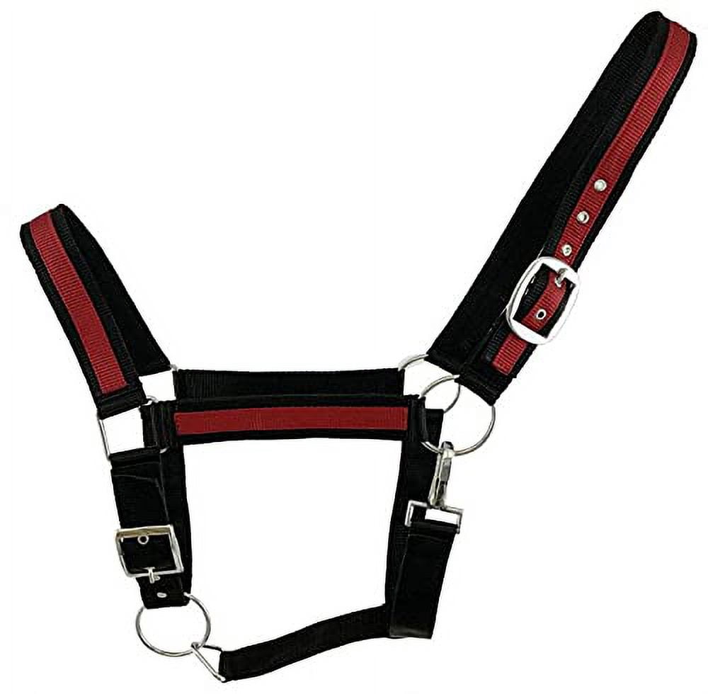 Black Draft Horse Size Nylon Halter w/ Blue or Red Accent Color (Red ...