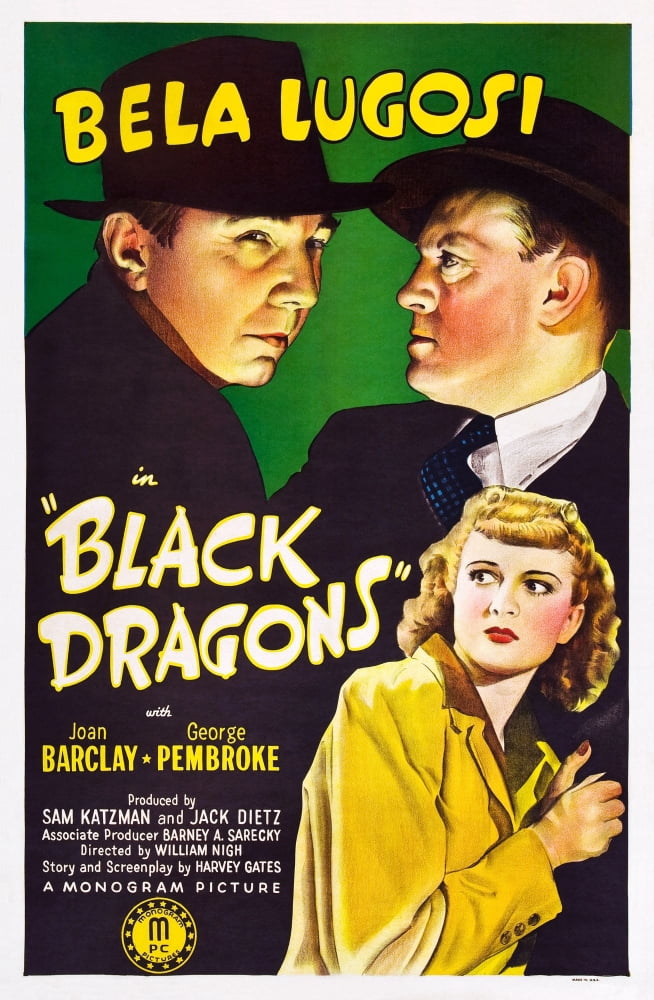Black Dragons Canvas Art - (24 x 36)