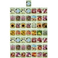 thumbnail image 1 of Black Duck Brand 20+ Varieties Flower Seeds (50 Pack), High Produce, 1 of 6