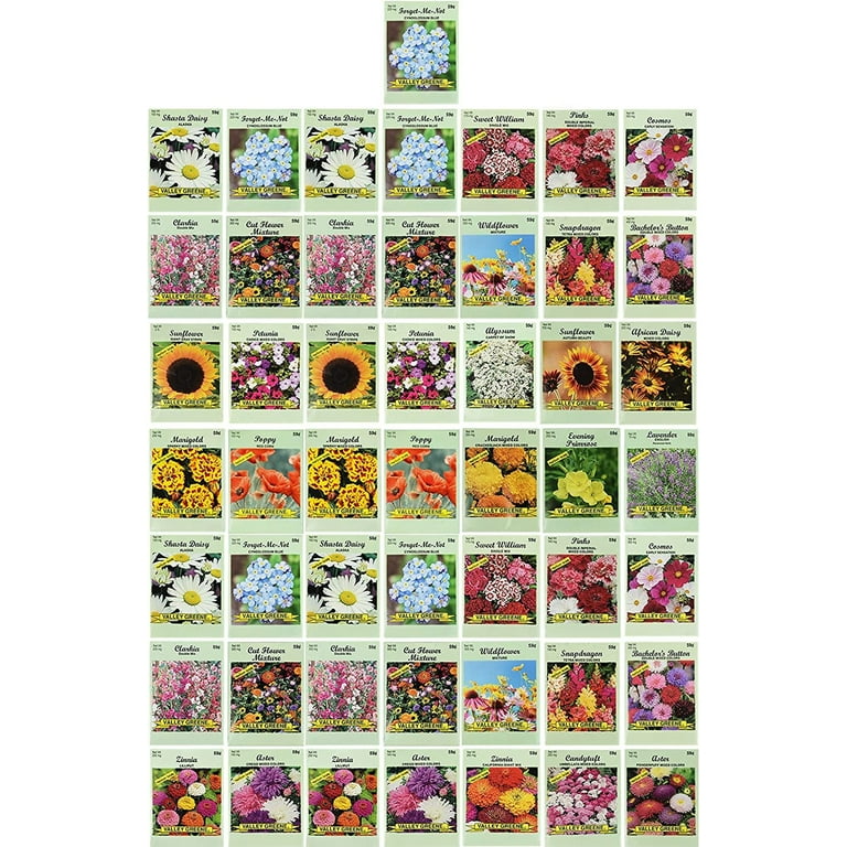 Set of 50 Assorted Marigold and Other Flower Seed Packets - 20+ Varieties  in Bulk! - Walmart.com