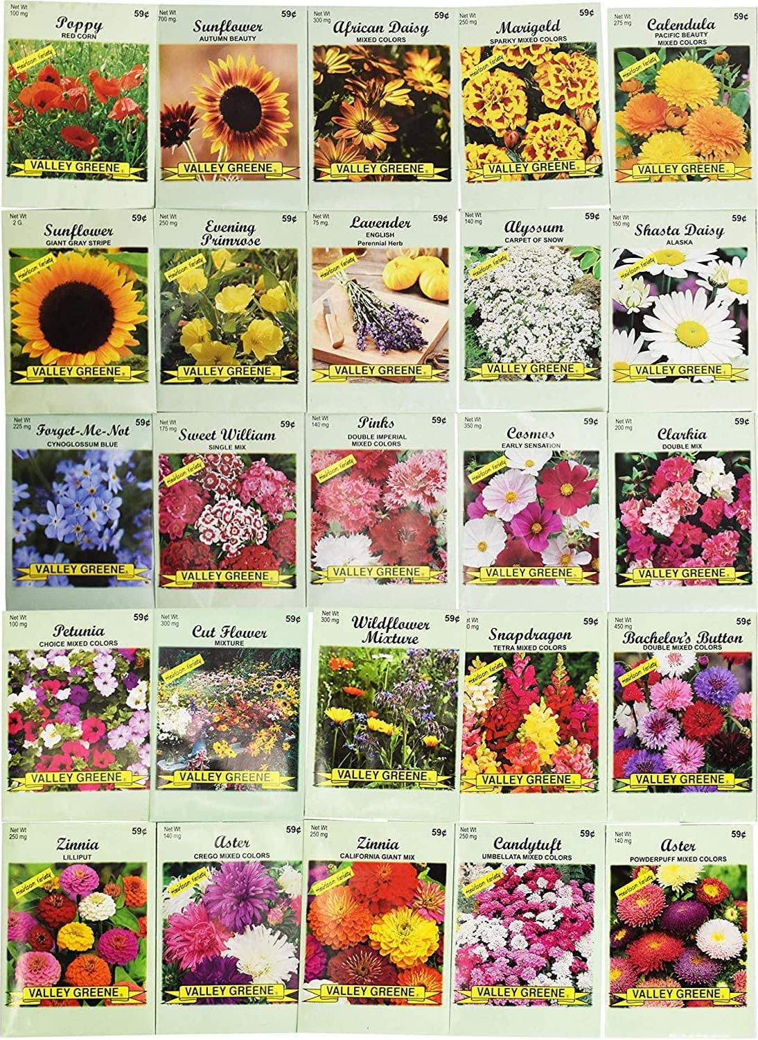 Calendario Flora de plantas medicinales 2023 by
