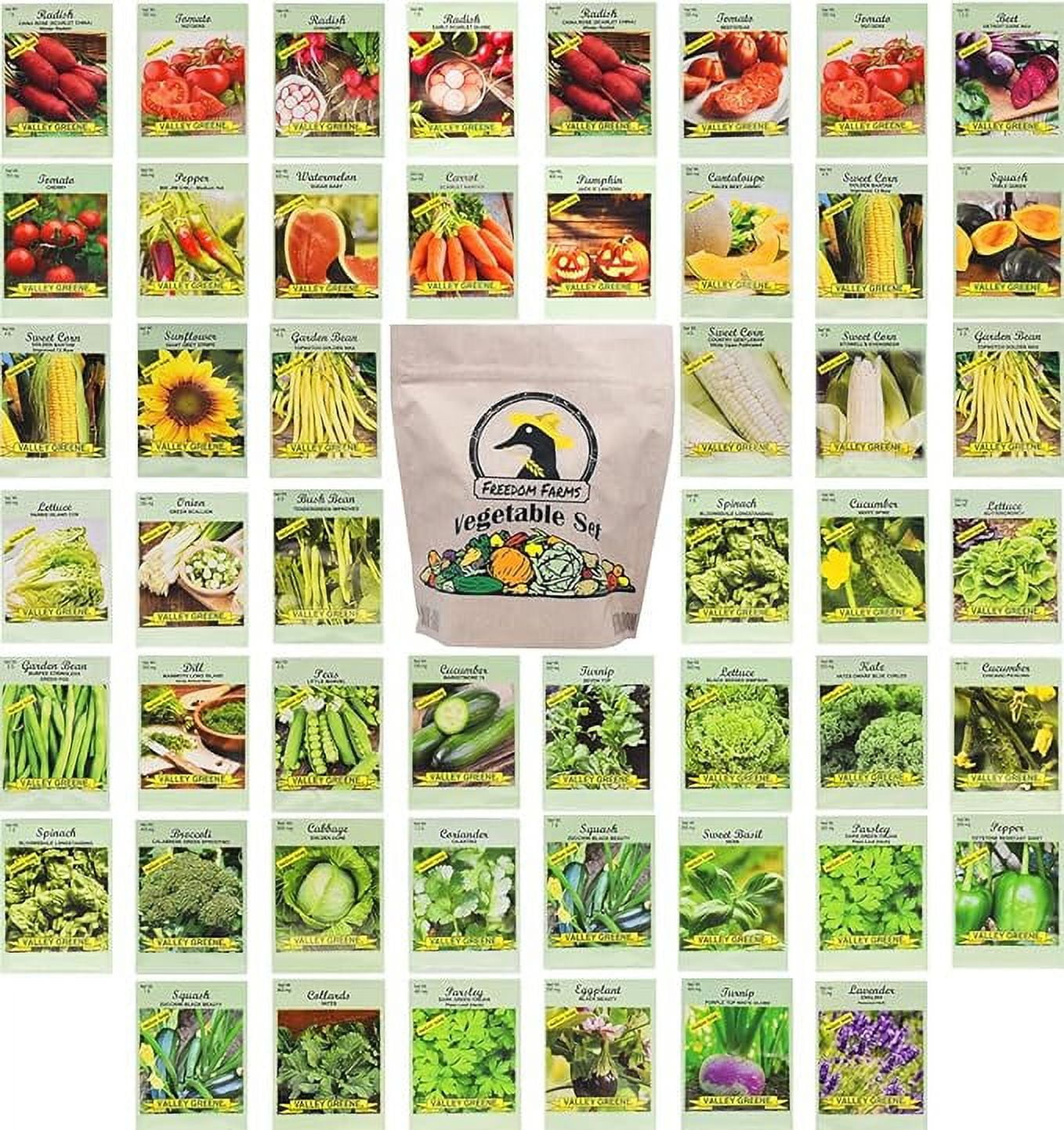 Black Duck Brand 50 Packs Assorted Heirloom Vegetable Seeds 50 Varieties Over 20,000 Heirloom Seeds, Includes Freedom Farms Vegetable Set Mylar Bag for Optimal Seed Storage! 100% Non-GMO