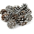 thumbnail image 1 of Black Duck Brand Assorted Pinecone Christmas Table Scatter! Glitter Frosted Winter-Themed Pinecones Perfect for Decorating for The Holiday Season! (15, Snow Tipped), 1 of 5