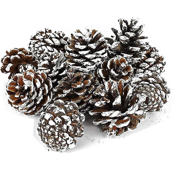 Black Duck Brand Assorted Pinecone Christmas Table Scatter! Glitter Frosted Winter-Themed Pinecones Perfect for Decorating for The Holiday Season! (15, Snow Tipped)