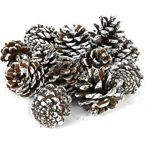 Black Duck Brand Assorted Pinecone Christmas Table Scatter! Glitter Frosted Winter-Themed Pinecones Perfect for Decorating for The Holiday Season! (15, Snow Tipped)