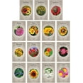 thumbnail image 1 of Black Duck Brand Liberty Garden 15 Heirloom Flower Seeds (15 pack), High Germination Rate, 1 of 6