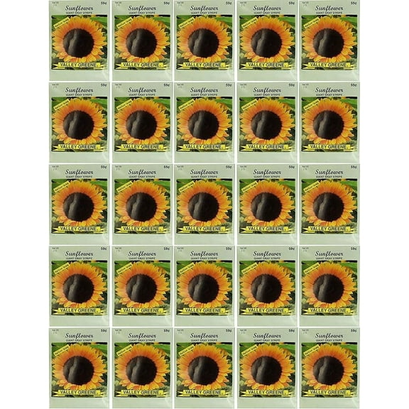 Black Duck Brand Set of 25 Sunflower Giant Grey Flower Seed Packets! Flower Seeds in Bulk - Great for Creating The Garden of Your Dreams! (25, Sunflower - Giant Gray Stripe)
