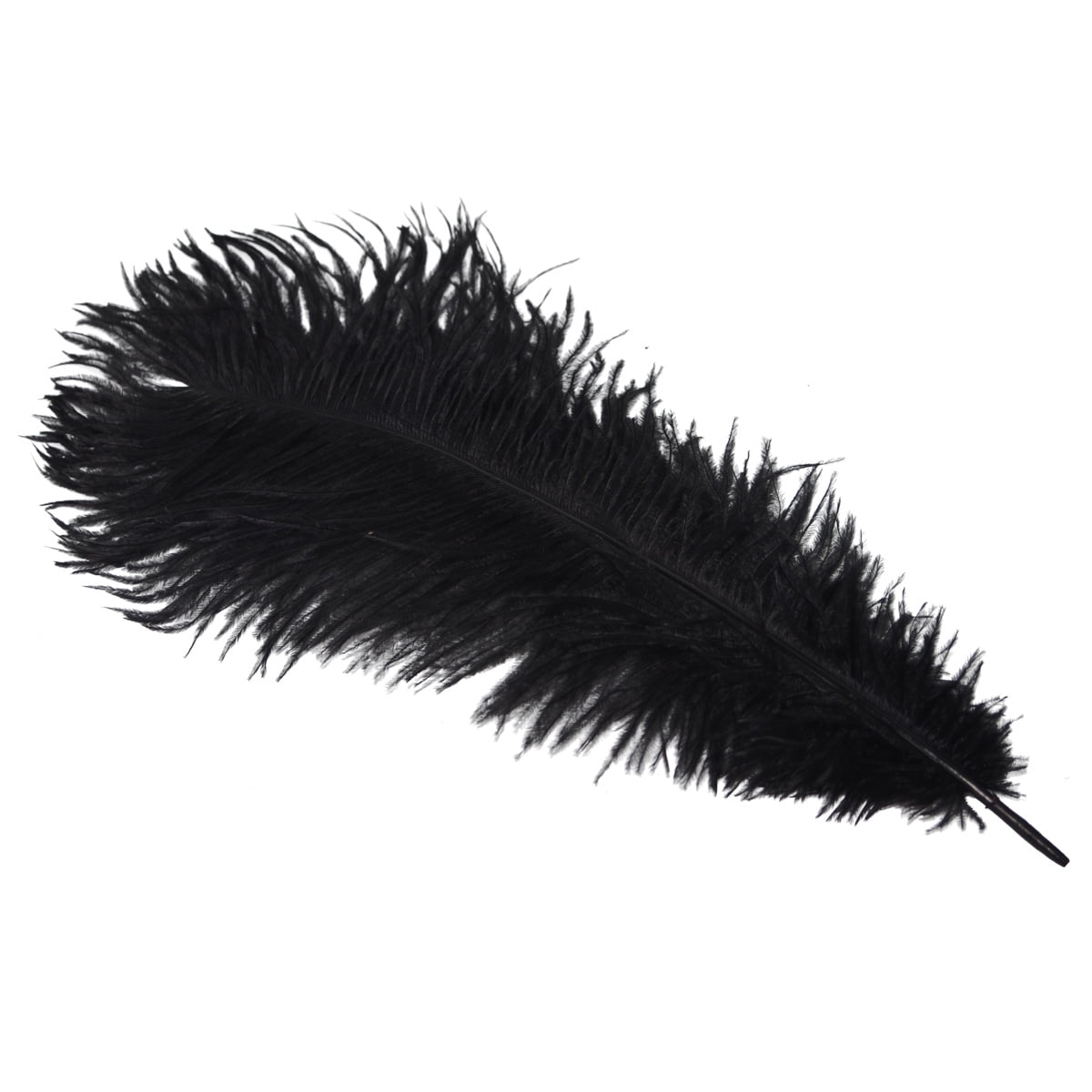 Black ostrich deals plumes