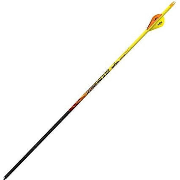Black Eagle Renegade 6pk Carbon Arrows (400, Black)$$Other