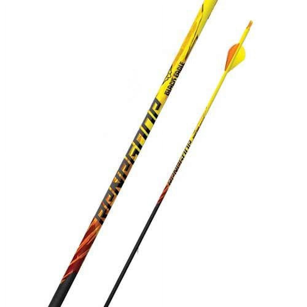 Black Eagle Renegade 6pk Carbon Arrows