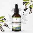 thumbnail image 1 of Black Elderberry Tincture Alcohol Extract, Organic Black Elderberry Sambucus Nigra Immune System Health 2 oz, 1 of 7