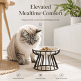 thumbnail image 1 of Black Elevated Pet Bowl with Iron Stand - High Foot Raised Feeder for Cats and Dogs, Anti-Vomiting Neck Protection Dish for Wet Food, Canned Snack and Water, Comfortable Healthy Pet Feeding Bowl, 1pc, 1 of 12