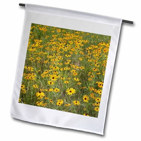 3dRose, Black Eyed Susan, 12 x 18 inch Garden Flag