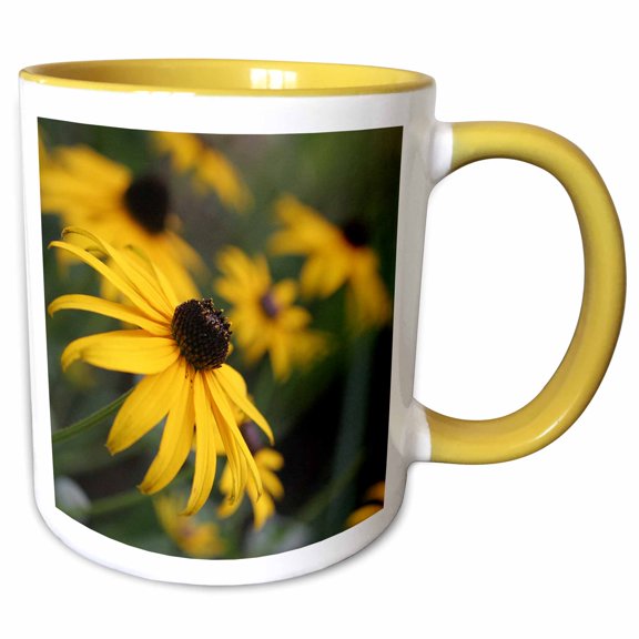 3drose, Black Eyed Susan, 15oz Two-tone Yellow Mug