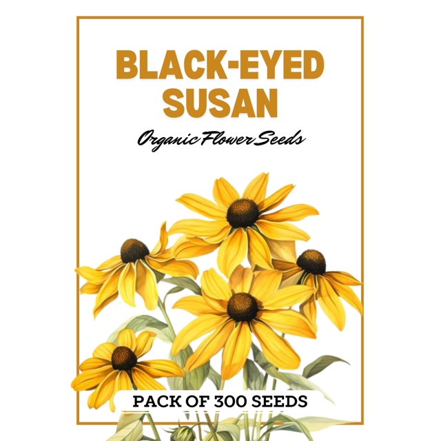 BlackEyed Susan Flower (300 Seeds) NonGMO Heirloom Fast Growing