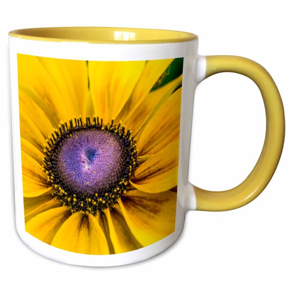 3drose, Black Eyed Susan Flower Blooming. Native to North America., 15oz Two-tone Yellow Mug