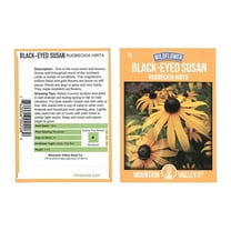 Black-Eyed Susan Flower Seeds - 1 Gram Packet - Perennial Wildflower Garden Seeds - Rudbeckia hirta