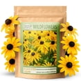 thumbnail image 1 of Black-Eyed Susan Wildflower Seeds, 55,000 Non-GMO Yellow Daisy Seeds - Created By Nature, 1 of 6