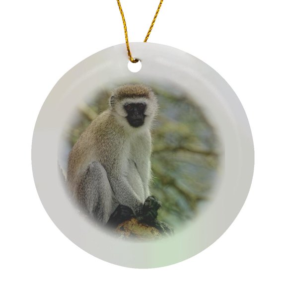 3drose, Black Faced Vervet Monkey, Ngorongoro Crater, Tanzania, Africa, Circle Porcelain Ornament