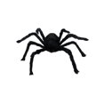 thumbnail image 1 of Black Fake Spider, Halloween Decor for Haunted House & Outdoor Wall for Halloween Props Home Party Decoration Supplies, 1 of 4