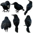 thumbnail image 1 of Black Feathered Crow Ornaments: 6-Pack for DIY Halloween Decor, Indoor & Outdoor Use, 1 of 7
