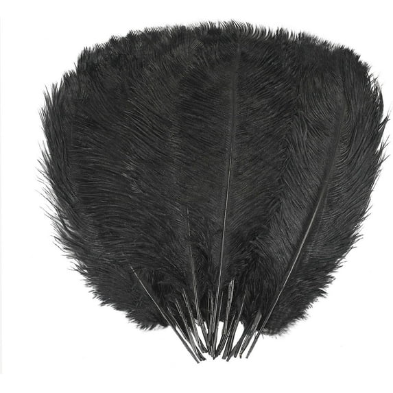 Black Feathers Natural 8-10inch/20cm-25cm for Crafts Wedding Party Centerpieces and Home Decoration Feathers, 20 Pcs