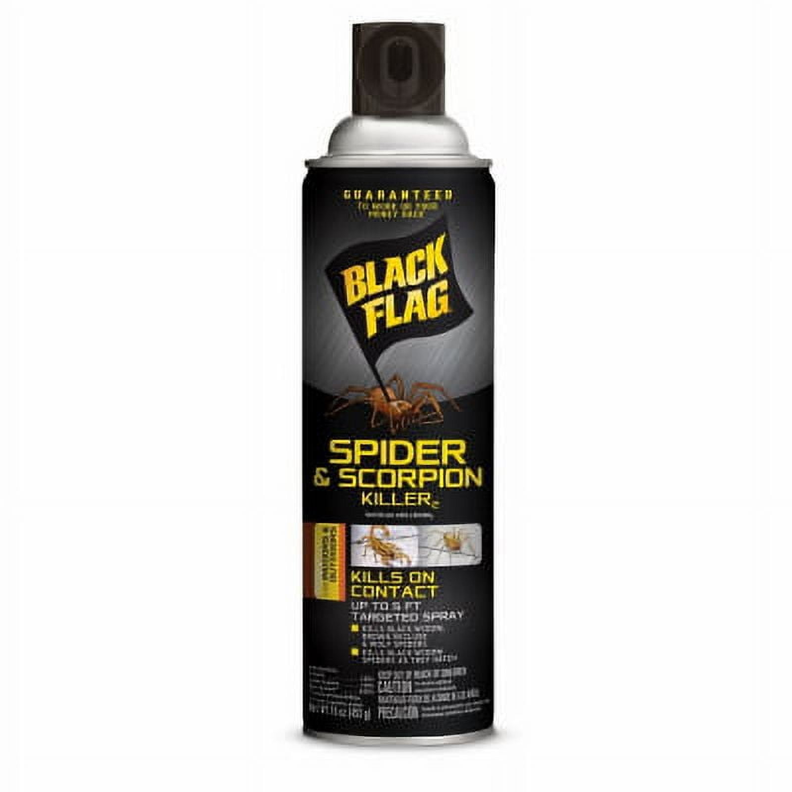 Black Flag 16 OZ Spider & Scorpion Killer Kills On Contact 4PK