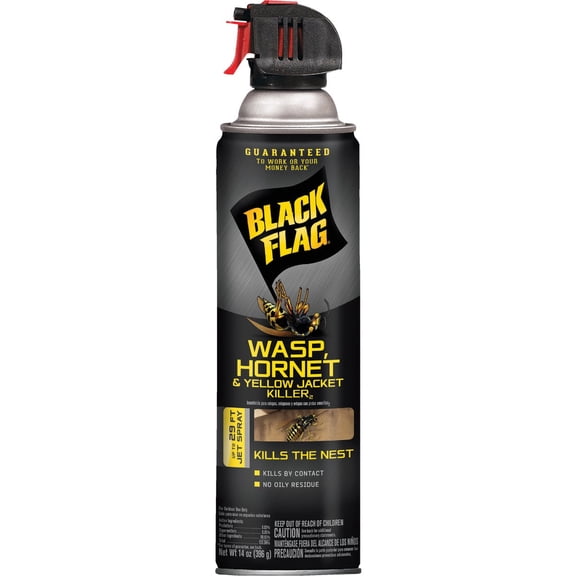 Black Flag 511088 Wasp, Hornet & Yellow Jacket Killer Aerosol, 14 Oz