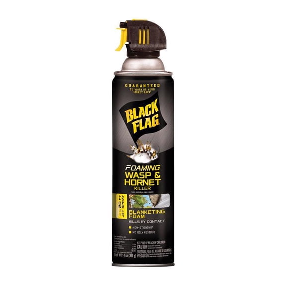 Black Flag Foaming Wasp & Hornet Killer Aerosol Spray - Kills by Contact - 14 Ounce