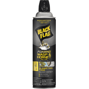 Black Flag Foaming Wasp & Hornet Killer - Pack of 2   Residential Use, Standard Application