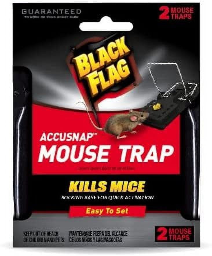 https://i5.walmartimages.com/seo/Black-Flag-HG-11050-AccuSnap-Mouse-Trap-Easy-to-set-2-Count-Small_b804c99c-b565-46fe-9de5-40d4e587b734.f09c219fdb39d966b0b61d1c5e7bbb70.jpeg