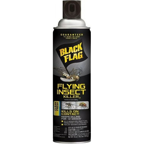 Black Flag Fly Paper