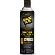 United Industries Black Flag Spider & Scorpion Killer Spray - Insecticide - 16 oz