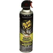 Black Flag Wasp And Hornet Killer Foam Spray - Insecticide, Outdoor Use - 14 oz