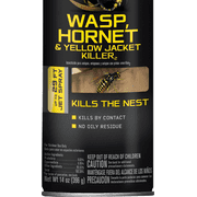 Black Flag Yellow Jacket, Wasp & Hornet Killer - Single Pack   Residential Use, Standard Application