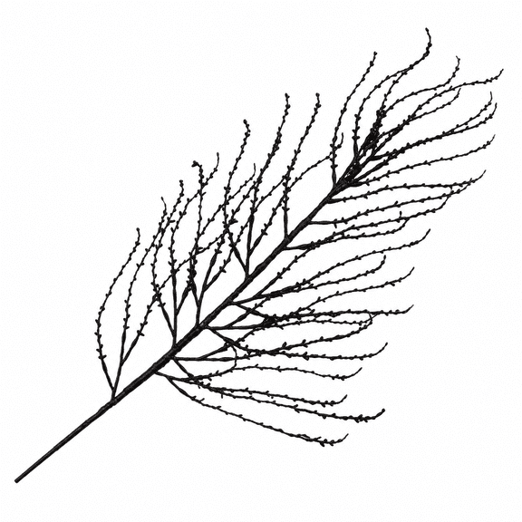 36" Black Flocked Branch Halloween Artificial Plastic Pick