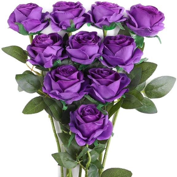 Black Flower Artificial Roses Flowers, Realistic Blossom Roses Real Touch Silk Rose Single Fake Flower Long Stem Bouquets for Home Decor Wedding Party Ceremony Funeral (10Pcs, Black)