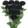 thumbnail image 1 of Black Flower Artificial Roses Flowers, Realistic Blossom Roses Real Touch Silk Rose Single Fake Flower Long Stem Bouquets for Home Decor Wedding Party Ceremony Funeral (10Pcs, Black), 1 of 5