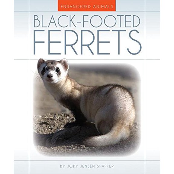 Pre-Owned Black-Footed Ferrets (Library Binding) 9781631439650