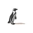 thumbnail image 1 of Black-Footed Penguin, Icon (9x12 Wall Art Print, Home Decor), 1 of 3