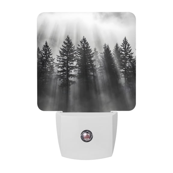 Black Forest Mist Scenery Night Lights, Nature Pine Trees Sunbeams Modern Smart Auto Dusk to Dawn Sensor Nightlights Plug-in Nightlight for Bedroom Bathroom Living Room Kitchen Hallway