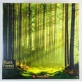 thumbnail image 1 of Black Forest by Capstone Games - SEALED, 1 of 9
