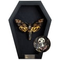 thumbnail image 1 of Black Frame Shadow Box Butterfly Moth, Gothic Insect Inspired Wall Art, Dark Aesthetic Home Decor, Framed Display for Curiosity Cabinet CF18-01-DE-MT, 1 of 6