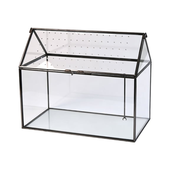 Black Frame Terrarium Enclosure, Clear Vented Glass Display Box with Hinged Top Access, 10.24 x 5.91 x 8.27 In for Moss Viewing and Table Decor