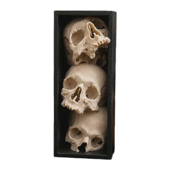 Black Framed Skull Decor, Gothic Tabletop Accent for Bookshelf Scenes, 3D Printed Vertical Display Piece with Halloween Inspired Mood