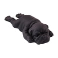 thumbnail image 1 of Black French Bulldog Squishy Stress Toy with Soft Foam Lying Dog Design, Single Piece, for Kids and Adults, Relaxation Toy, 1 of 3