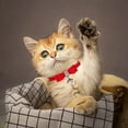 Holiday Gift Finder Clearance Under 10 Velvet Elegant Bow Rope Cat Dog