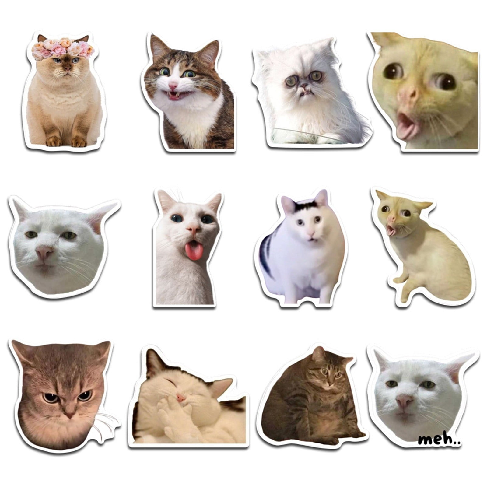 Black and Friday Deal 2024!Funny Fridge Cat Fasteners On Home