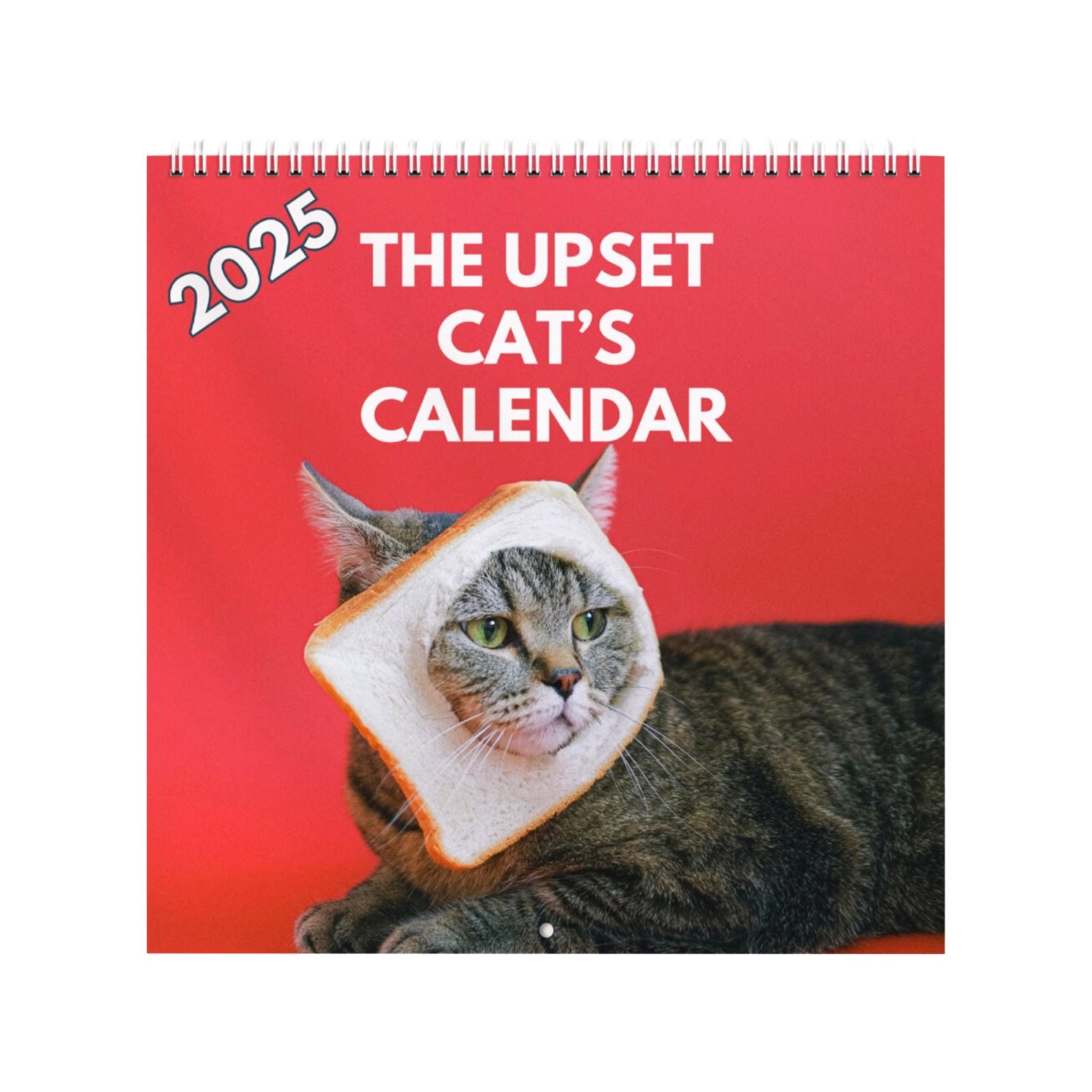 Black and Friday Deal 2025 Upset Cat Calendar A Perfectly Hilarious